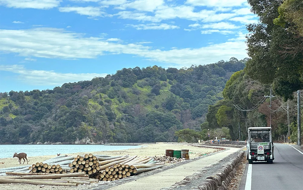 ゼロカーボンシティに向けて